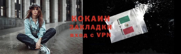 сатива Баксан