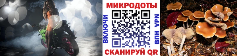 Псилоцибиновые грибы Cubensis  Губаха 