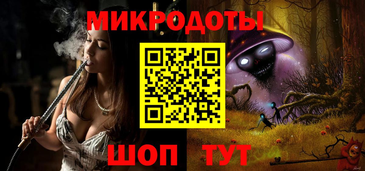 Псилоцибиновые грибы Psilocybe Губаха